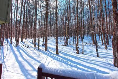 Wine Moose W Hot Tub Fireplace Sauna 9Min To Mt Snow Dover Exterior foto